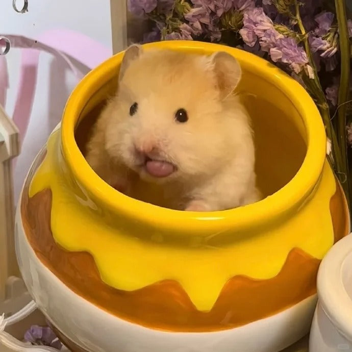 A Comprehensive Guide to Hamster Diet and Care