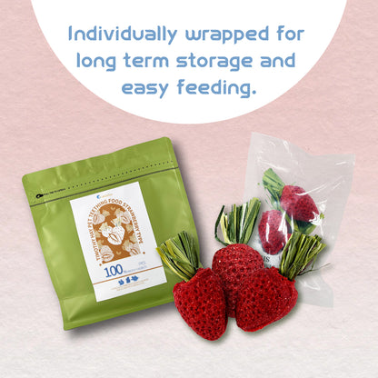 Timothy Grass Strawberry Shape Pet Teething Snacks